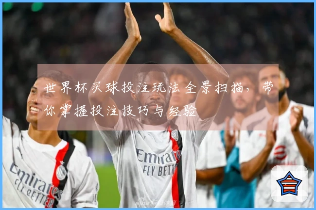 世界杯买球投注玩法全景扫描，带你掌握投注技巧与经验