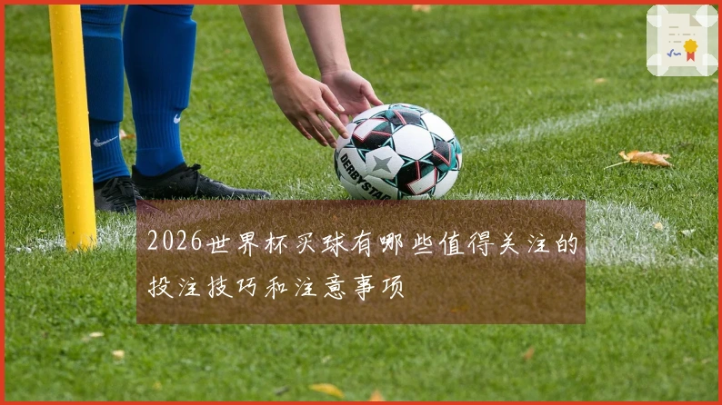 2026世界杯买球有哪些值得关注的投注技巧和注意事项