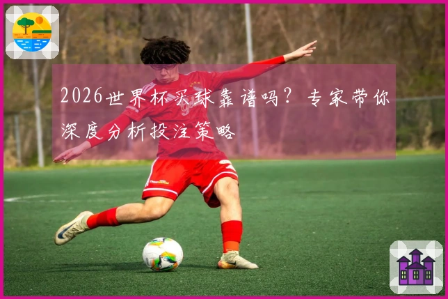 2026世界杯买球靠谱吗？专家带你深度分析投注策略