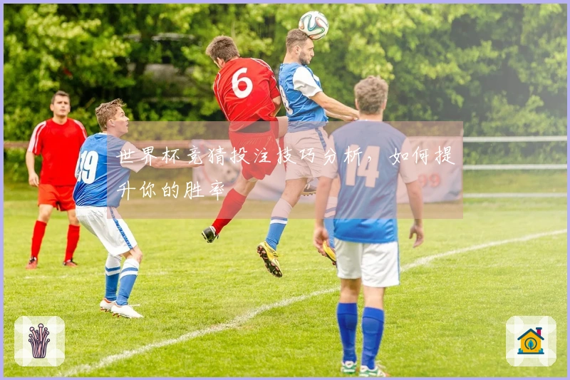 世界杯竞猜投注技巧分析，如何提升你的胜率