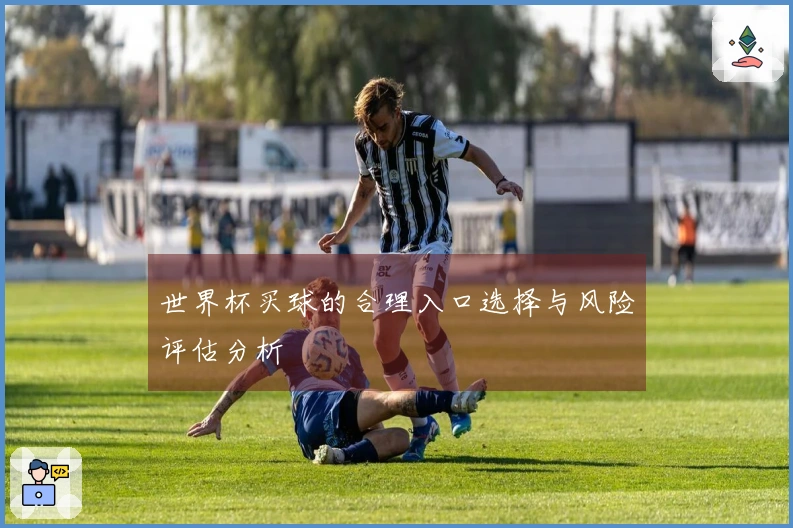 世界杯买球的合理入口选择与风险评估分析