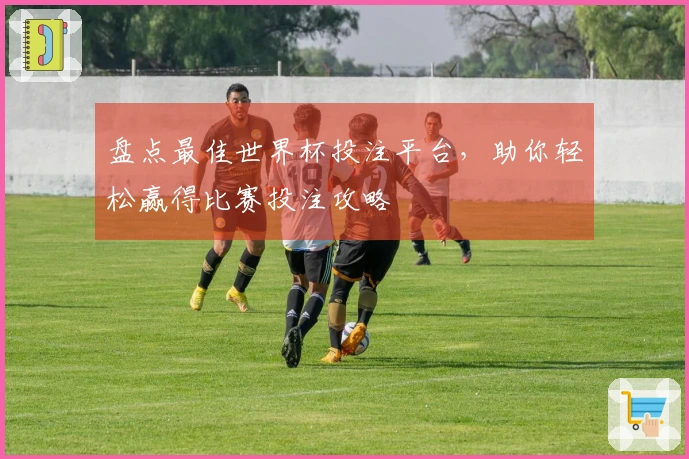 盘点最佳世界杯投注平台，助你轻松赢得比赛投注攻略