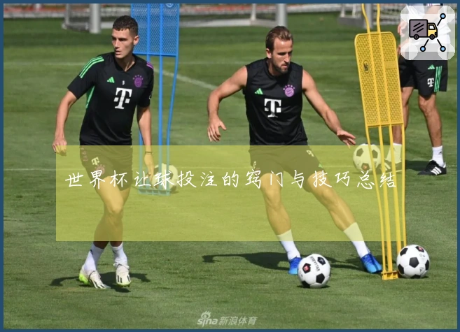 世界杯让球投注的窍门与技巧总结