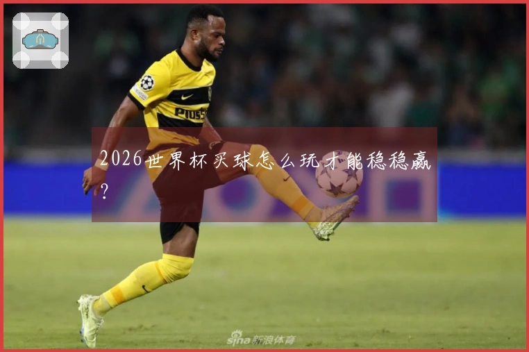 2026世界杯买球怎么玩才能稳稳赢？