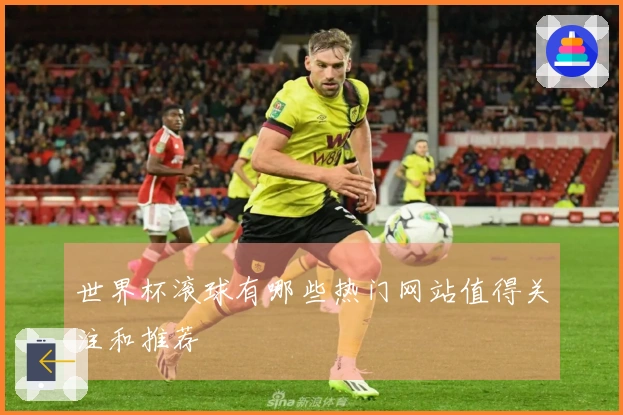 世界杯滚球有哪些热门网站值得关注和推荐