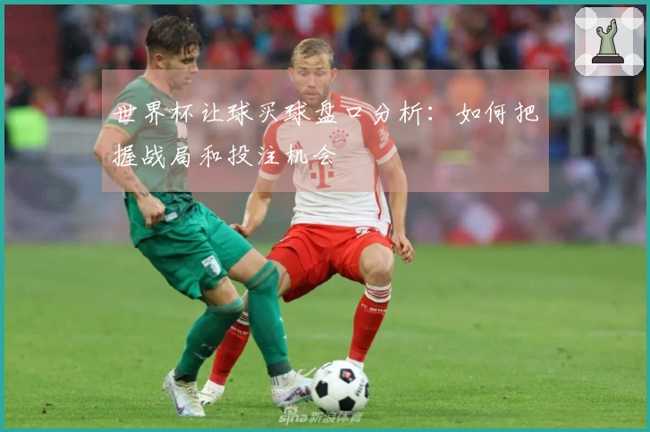 世界杯让球买球盘口分析：如何把握战局和投注机会