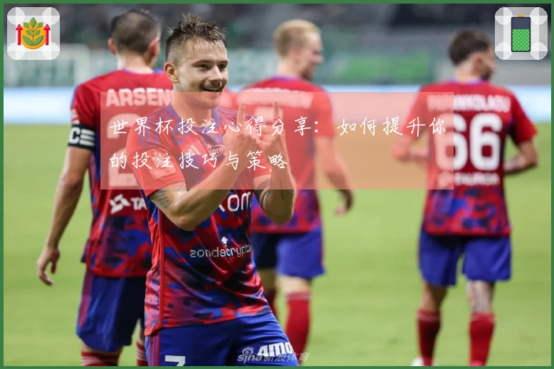 世界杯投注心得分享：如何提升你的投注技巧与策略