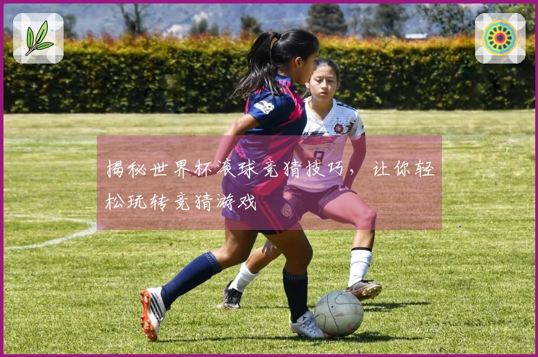 揭秘世界杯滚球竞猜技巧，让你轻松玩转竞猜游戏